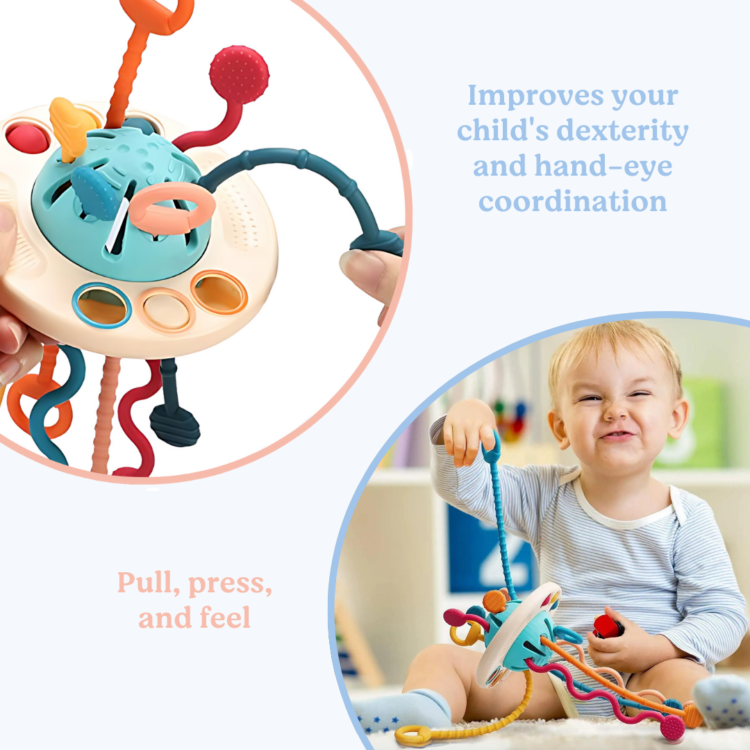 SmartPlayground™ Montessori Pull-Along Toy - SmartPlayground Int.
